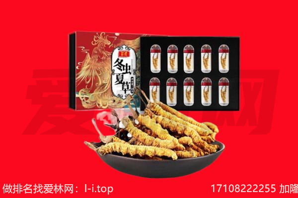 巴中市回收虫草.jpg